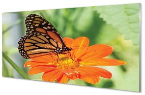 Sklenený obraz Kvet farebný motýľ 125x50 cm