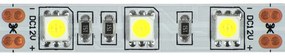 ECOLIGHT LED pásik - SMD 5050 - 50 m - 14,4 W/m - IP20 - studená biela