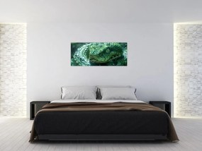 Obraz - Portrét hada (120x50 cm)