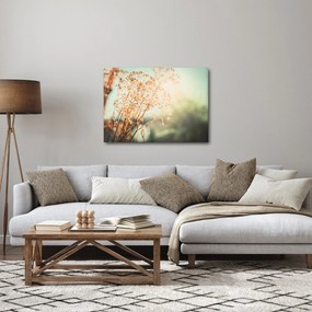 Obraz - Lúčne rastliny (70x50 cm)
