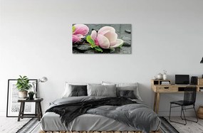 Obraz plexi Magnolia kamene 100x50 cm