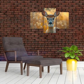 Obraz - Laň (90x60 cm)