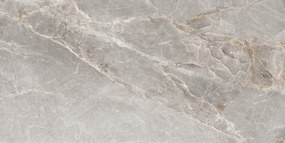 Dlažba Majestic Grey Silky 60x120