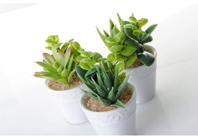 Umelé rastliny v súprave 6 ks (výška 11 cm) – Casa Selección