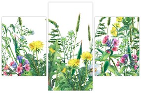 Obraz - Maľované lúčne kvety (90x60 cm)