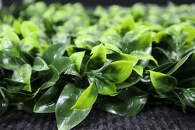 Umelý rastlinný panel FRESH LIGHT GREEN 50 x 50 cm - Panel 50x50 Europe Grass