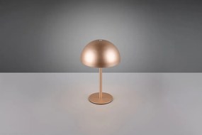 LED stolová lampa v bronzovej farbe s kovovým tienidlom (výška 21 cm) Munoz – Reality