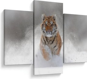 Obraz bežiaceho tigra v snehu (90x60 cm)
