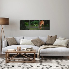 Obraz srnky (s hodinami) (90x30 cm)