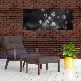Obraz - Cottongrass na lúke (120x50 cm)