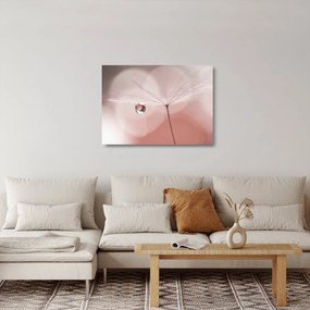 Sklenený obraz - Kvapka rosy (70x50 cm)