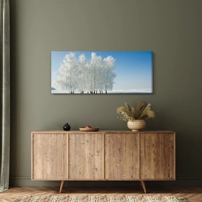 Obraz zasneženej krajiny (120x50 cm)