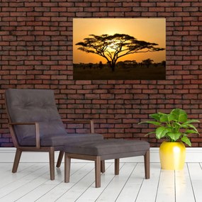 Obraz - Africká savana (90x60 cm)