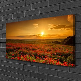 Obraz Canvas Pole maky západ slnka lúka 140x70 cm