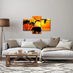 Obraz - papagáje a slony (90x60 cm)