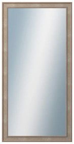 DANTIK - Zrkadlo v rámu, rozmer s rámom 50x100 cm z lišty TOOTH malá strieborná (3162)
