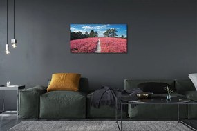 Obraz canvas Terénu prales vresy 125x50 cm