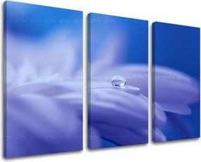 Obraz na stenu 3 dielny KVETY KV087E30 - 60x40 cm