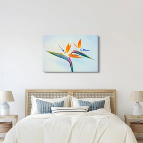 Obraz kvetu Strelícia (90x60 cm)