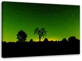 Obraz na plátně Aurora Borealis Green Forest - 100x70 cm