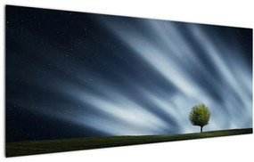 Obraz polárna žiara nad vresoviskom (120x50 cm)