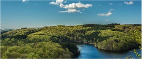 Obraz - Jazero v lesoch (120x50 cm)