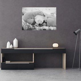 Obraz - Ľadové medvede (90x60 cm)