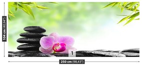 Fototapeta Vliesová Orchidea a kamene 152x104 cm