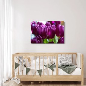 Obraz tulipánov (90x60 cm)