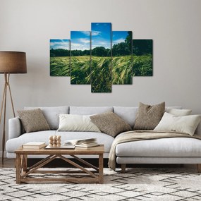 Obraz lúky a lesa (150x105 cm)