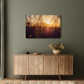 Obraz poľa pri západe slnka (90x60 cm)