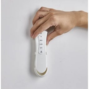 FANAWAY 212982- Stropný ventilátor EVORA 2xE27/20W/230V chróm + diaľkové ovládanie