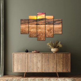 Obraz pole (150x105 cm)