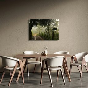 Sklenený obraz rannej hmly (70x50 cm)