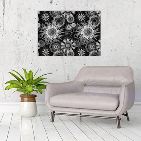 Sklenený obraz - Čiernobiele bodliaky (70x50 cm)