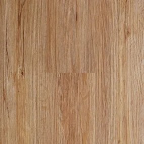 Vinylová lepená podlaha dub Northland 2 mm WINHOM-10200