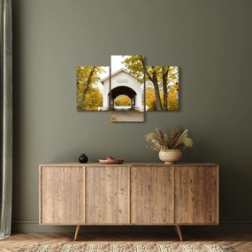 Obraz mosta v Oregone (90x60 cm)