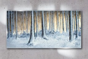 Skleneny obraz Abstrakcia zimné sen príroda