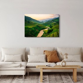 Obraz - Ryžové terasy II. (90x60 cm)