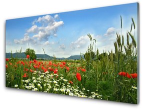 Obraz plexi Lúka kvety príroda 125x50 cm