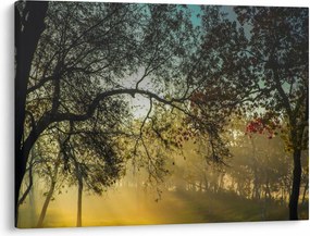 Obraz východu slnka (70x50 cm)