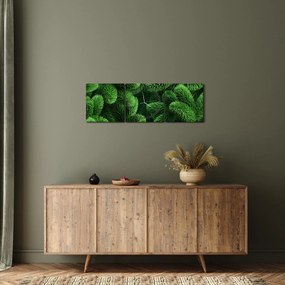 Obraz - Vetvičky ihličnanu (s hodinami) (90x30 cm)