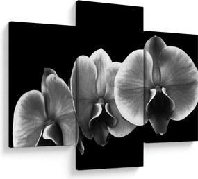 Obraz kvetu orchidey (90x60 cm)