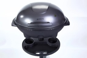Gril Guzzanti GZ 345