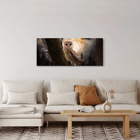 Obraz sovy (120x50 cm)