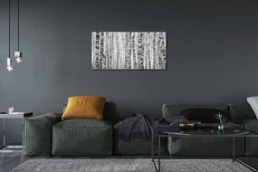 Obraz canvas Čierna a biela breza 140x70 cm