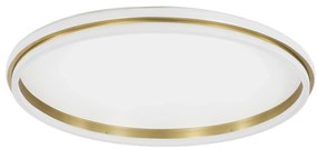 LED stropné svietidlo Willow R 60 zlaté