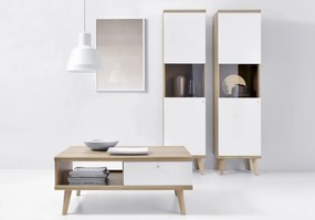 Vysoká vitrína Primo, dub riviera/biela