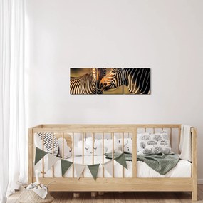 Obraz - Dve zebry (s hodinami) (90x30 cm)