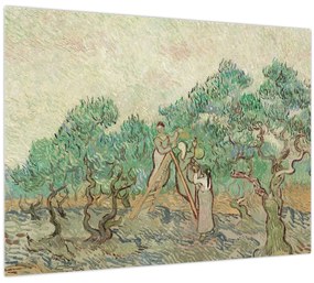 Sklenený obraz - Vincent van Gogh, The Olive Orchard, reprodukcia (70x50 cm)